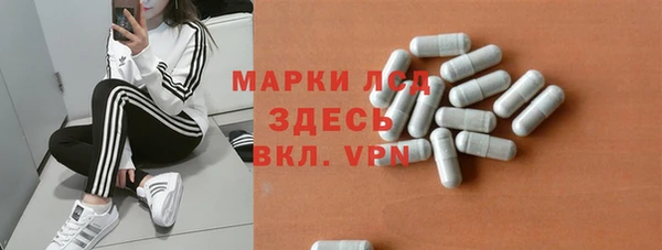 молекула духа Бородино