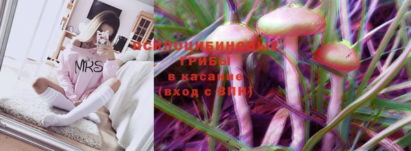 соль ск Верея