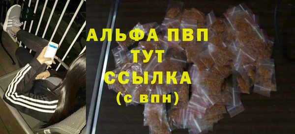 молекула духа Бородино